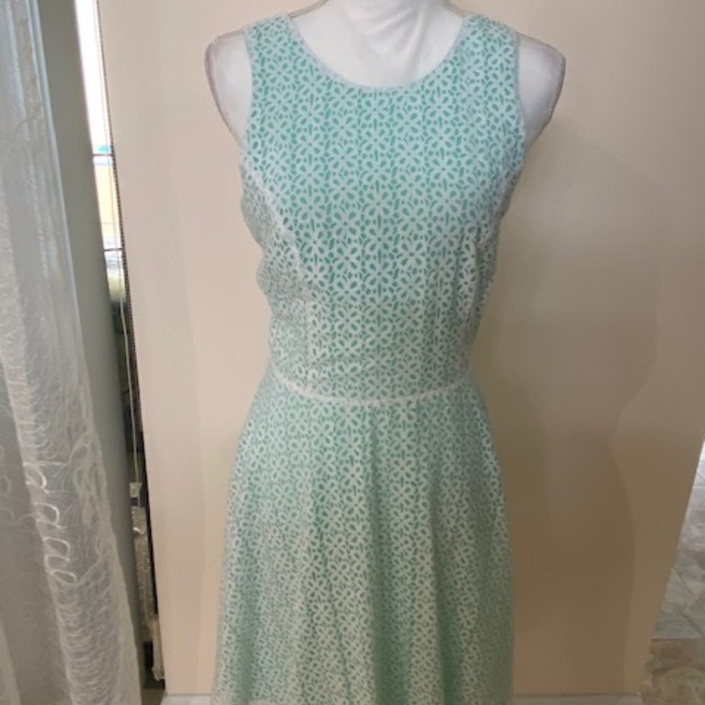 Paris Wagoon Dress Brand New